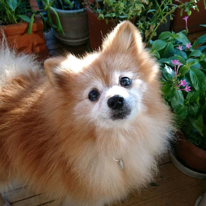 7c223402 5b38 4f48 8464 5bc44de27278 1575851479996