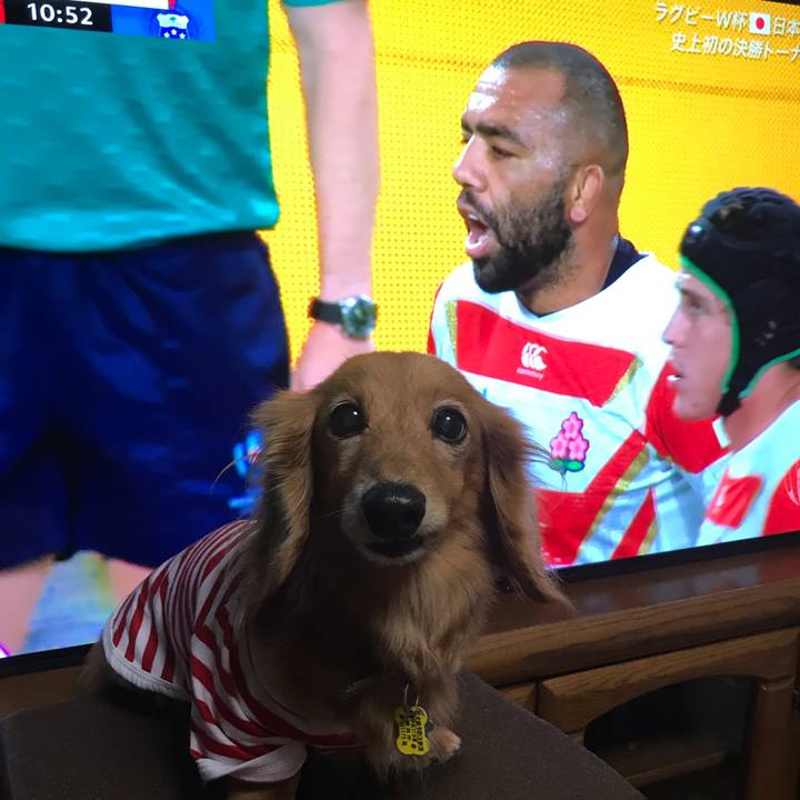 7c223e50 8bb1 452d 8cd3 2b6a7b4806d3 1570272303107