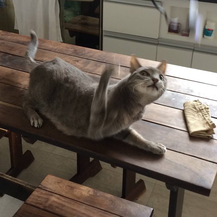 7c225a33 b654 4484 b13f 1b81c9b2e848 1541701776625