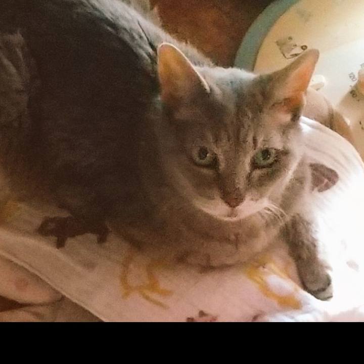 7c227a2f 245f 4a02 931b a42f4dd796d4 1693433188164