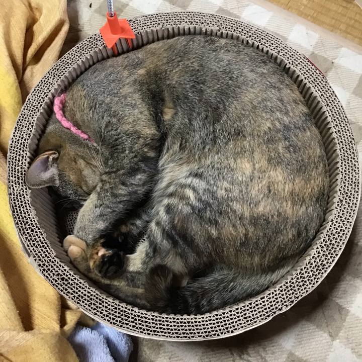 7c22ad4b 5642 4341 866b 4c3c37bdd771 1615176466140