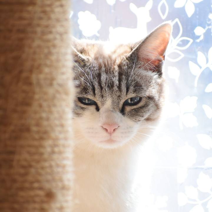 7c22e632 7572 431e b78f e1941ecabe17 1552796628781