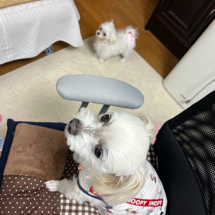 7c2311c9 8516 4bc1 8f31 45f6a2a409c5 1707988623731