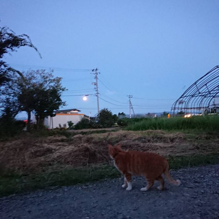 7c23576b ca3f 48ff 9f39 3bf22da87996 1601455777833