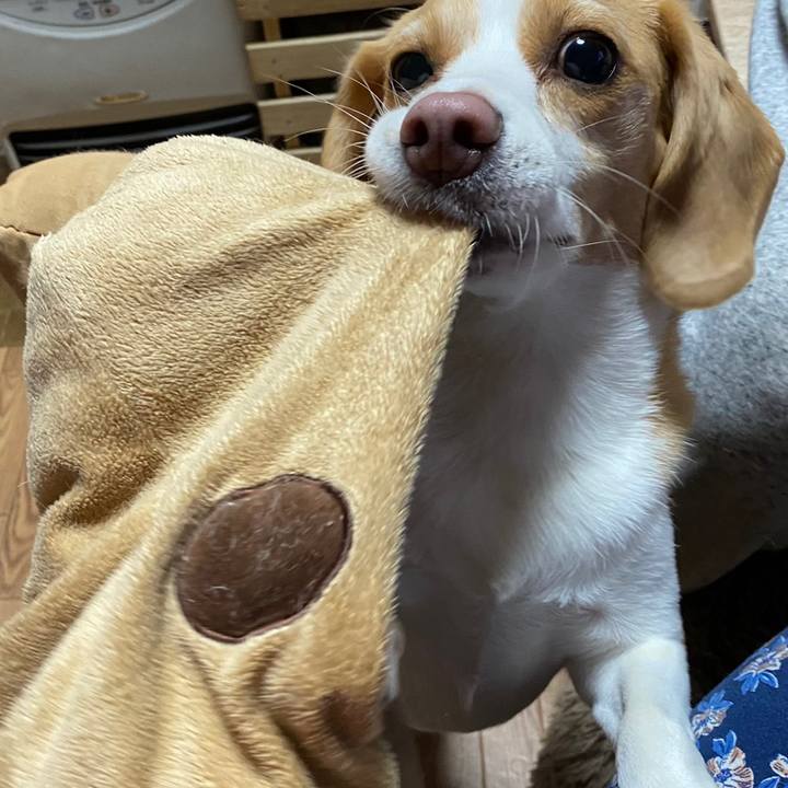 7c23f832 e9a7 4554 b511 d94a8d85ae05 1624351125387