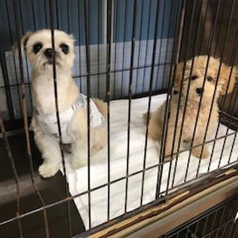 7c2414a0 6cd5 4725 80b7 609680ed7de5 1557877582642