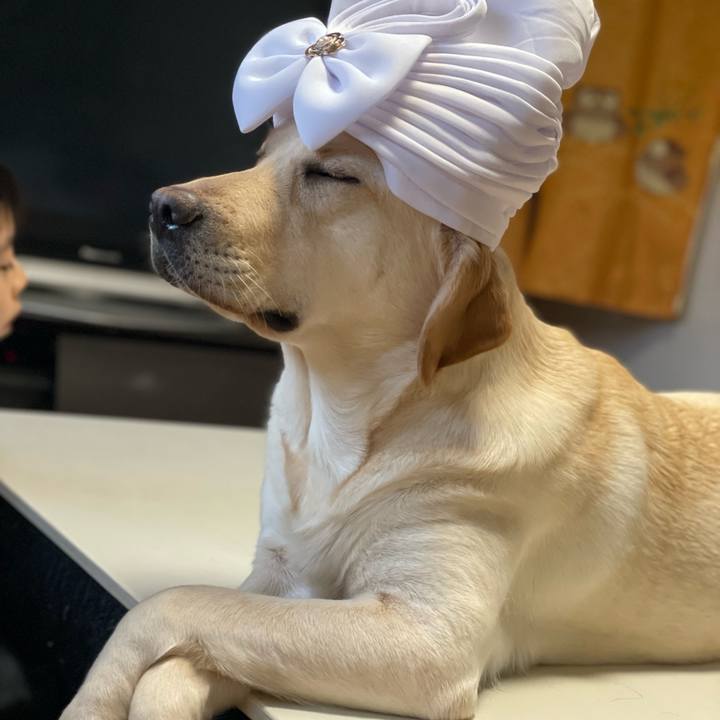 7c244056 0a02 464d afcd 68673438bae5 1650274821537