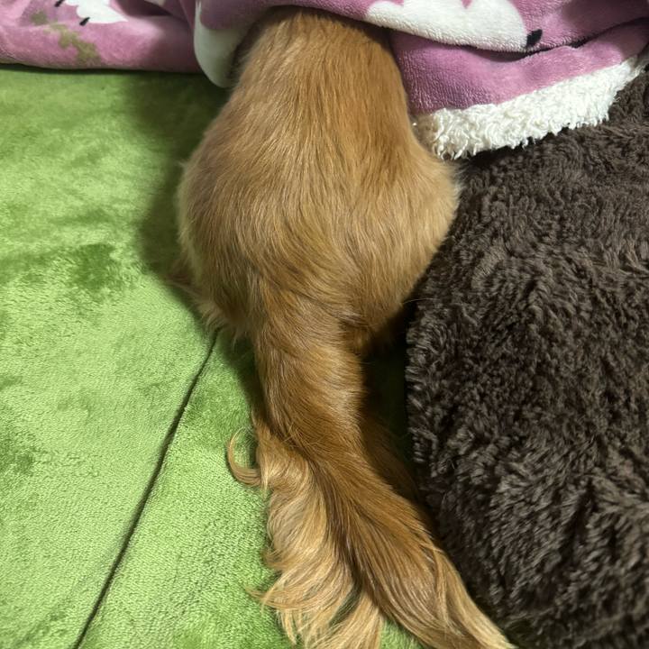 7c2471be afed 443d 89be d8e322229ab3 1708691786273