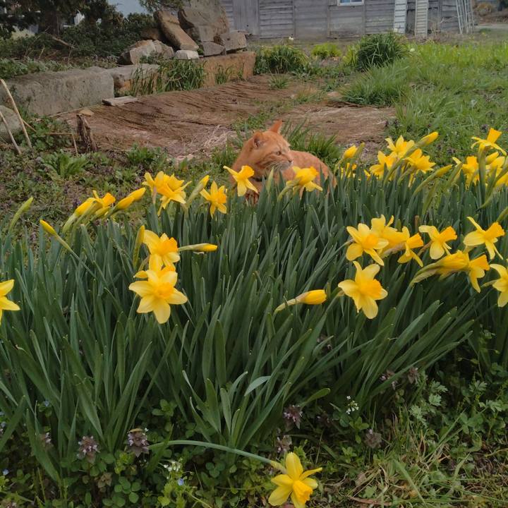 7c247f6d afe4 4842 9339 85b68c5f87a9 1712565655975