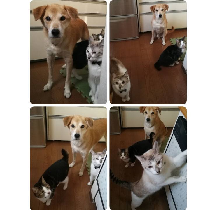 7c24e0ed a38a 4a33 ac0a 9e53dcc535b8 1540024262306