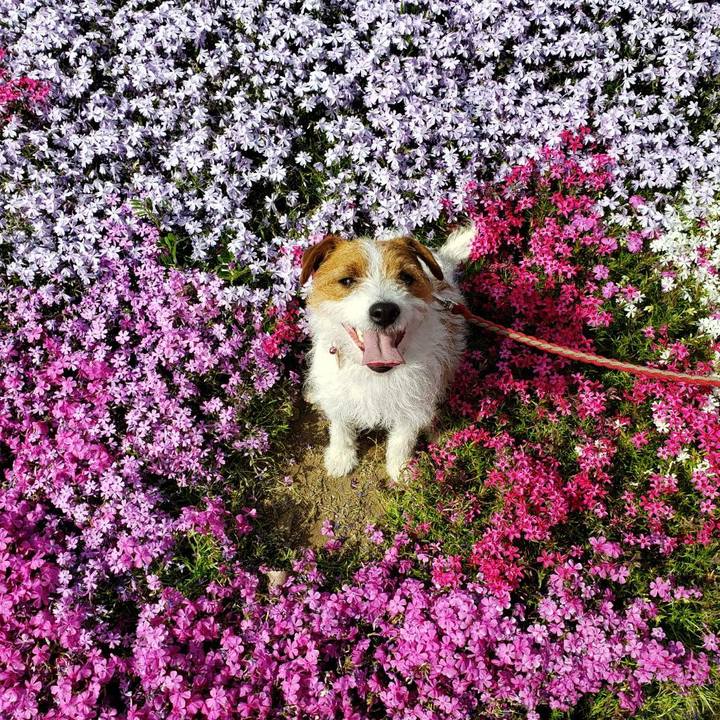 7c252558 0ada 4774 a335 c8733f8f5f90 1557220210836