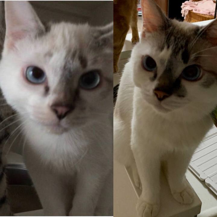 7c253ad5 fccd 492b ad40 aa4d460df976 1568334722986