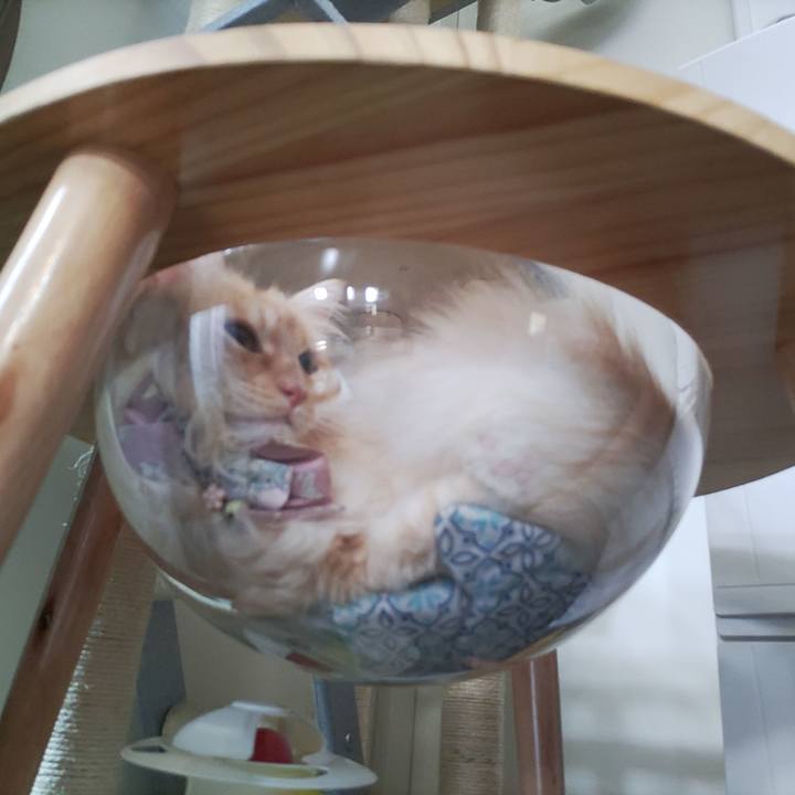 7c254bb0 d915 4328 b472 e662e58d94c2 1722559996824