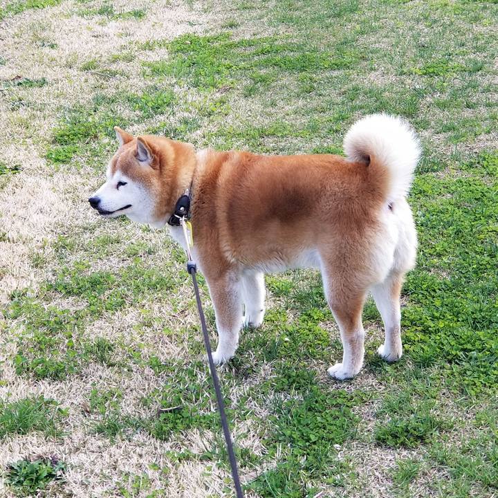 7c25b875 9eda 4672 8d70 b05ea157a709 1651557729644