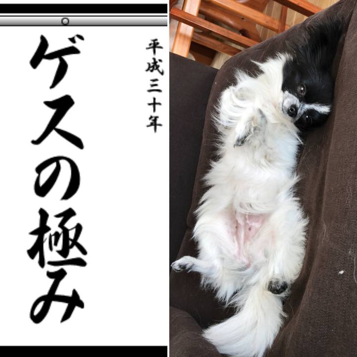 7c25bbf8 260a 4c14 8ef2 2cf90ce53b19 1515021150086