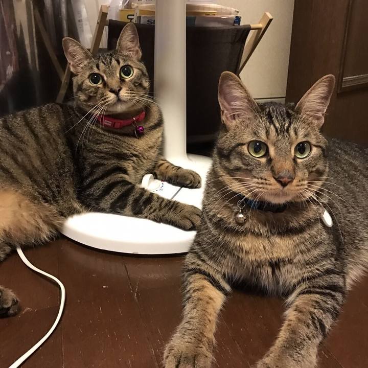 7c261145 86a4 4c51 9ba7 9d0557032803 1539952692021