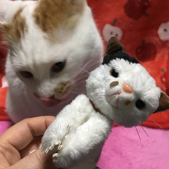 7c2618e3 8920 4086 9a76 69926375dbab 1513522202094