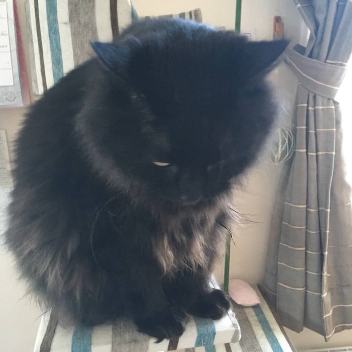 7c26543a 7624 4fdc a12e b910b82669b9 1543220002365