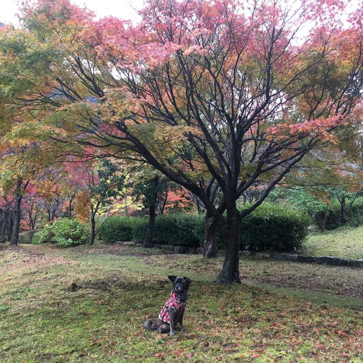 7c2666d4 cb5b 4479 80be 3f980c50bbe5 1511178069687