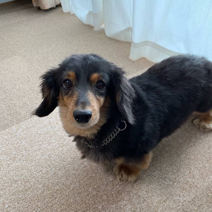 7c267a32 d72e 4a06 aa8e 577bb3f6098d 1557092836414