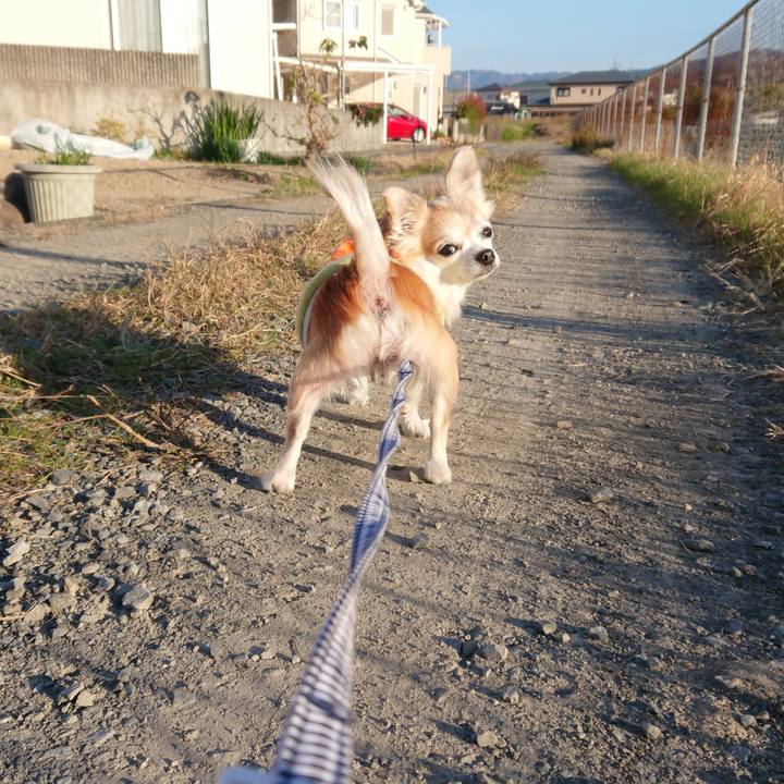 7c268367 ec1f 4375 ba08 383fdf0d3659 1575807334683