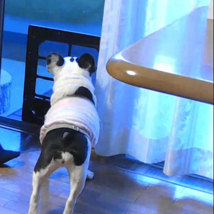 7c26a97c 0d99 47f9 85a0 95ad7a90b8a6 1628905603842