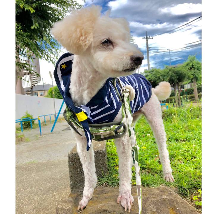 7c2705ba e7c1 4bdb 84b9 60e1257795a1 1530111700155