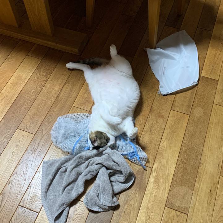 7c270fdc ce03 4b68 9304 099e38f02575 1661373286054