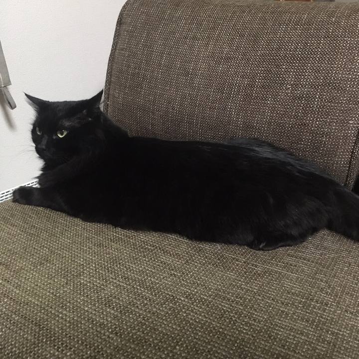 7c271bf8 b364 4805 81b6 a213f546a39b 1513072119771