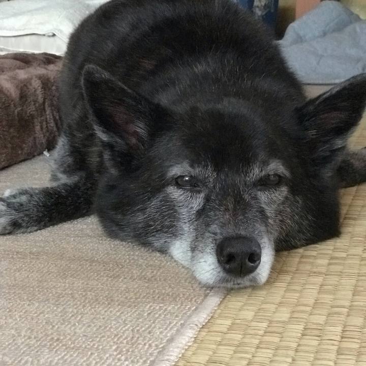 7c272918 2d72 4515 bf43 de9c4322a0eb 1560910812852