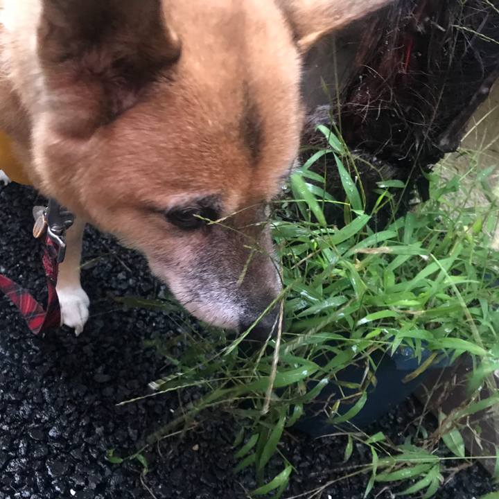 7c2737af 919e 46b1 a933 4446a0cf0adb 1508707586994