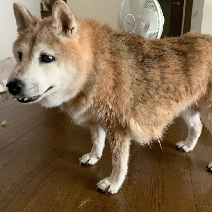 7c2760c1 4e31 48cc bd09 a99ea9eda903 1658121559122