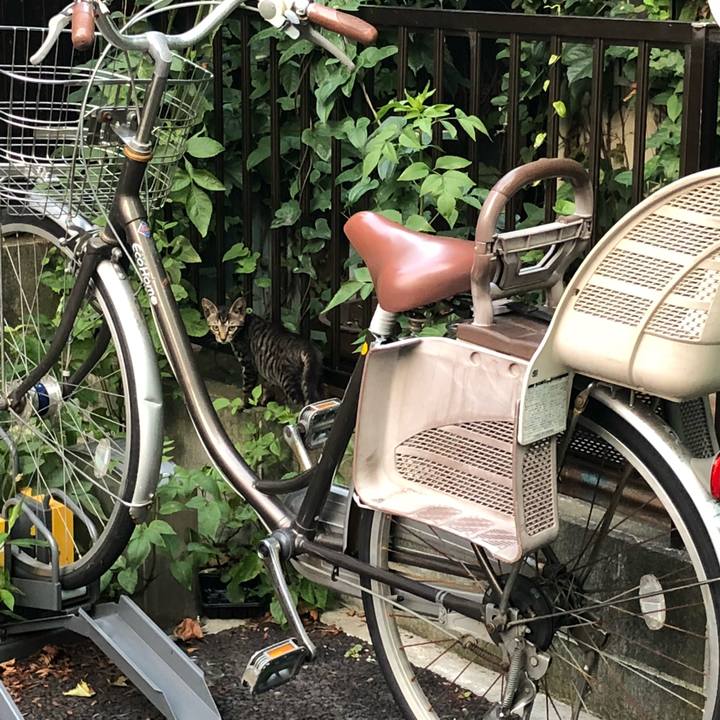 7c27665b 743f 45e6 b06e d4883f5a76bb 1533707706532