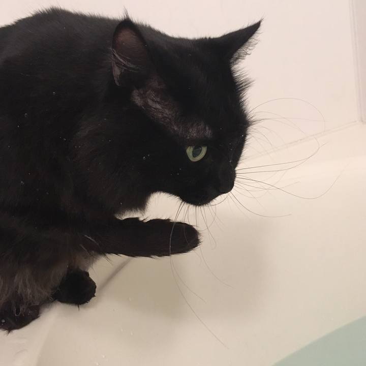 7c276d51 d38c 456c bb4a 454d40037ce9 1510757275753