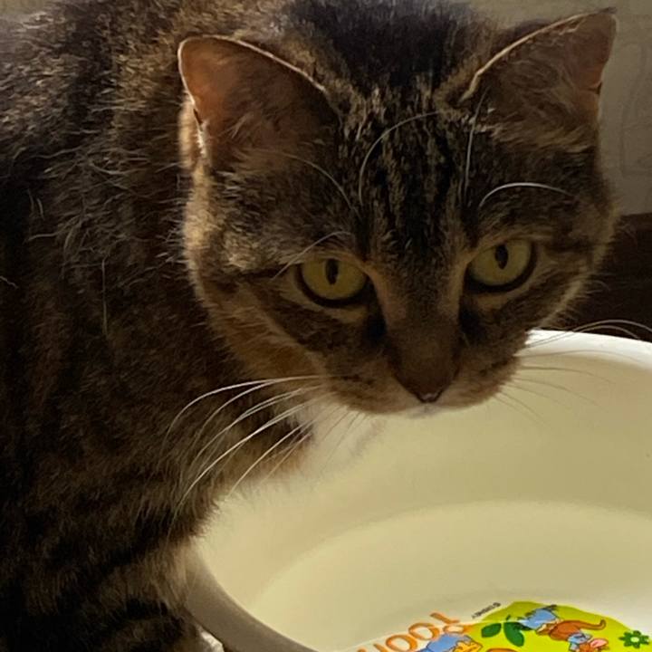 7c27b557 85a3 447a 880b 3400aace62a3 1658105322215