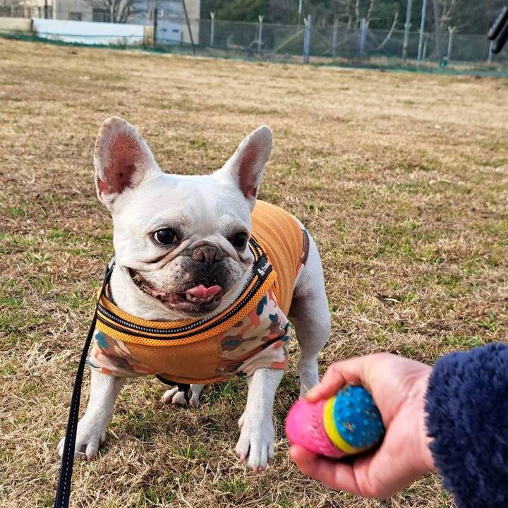 7c27c128 257c 42be 9ed1 7bdfc21accfc 1704868452194