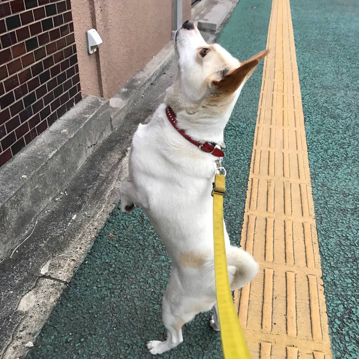 7c27e50d e35d 48d7 8f41 8606bf4d10b1 1562298447821