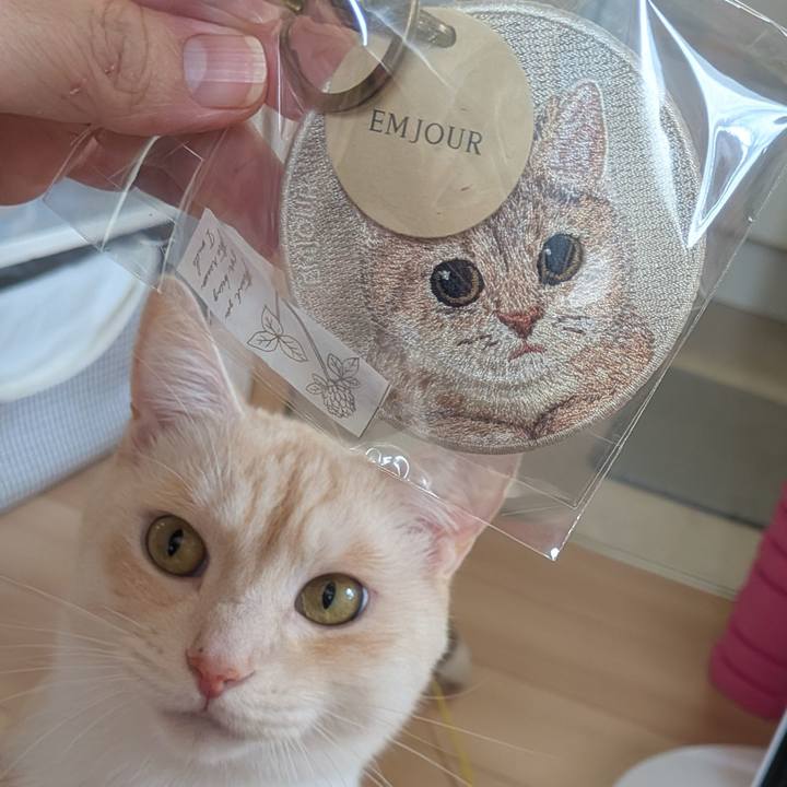 7c28241a 24e4 4669 93e8 99705f24ba91 1758750410938