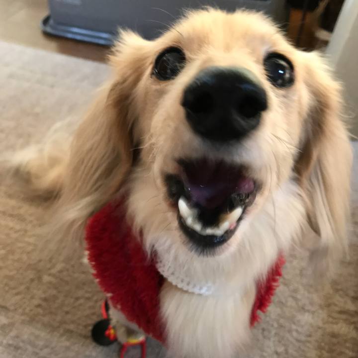 7c289a17 0ea2 465e a834 75684df5b1b9 1516661390858