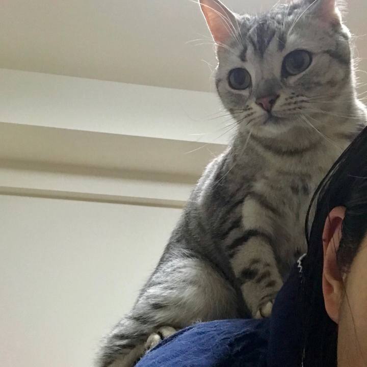 7c28a9df 5d16 4048 8594 841563b78bf0 1520860040544