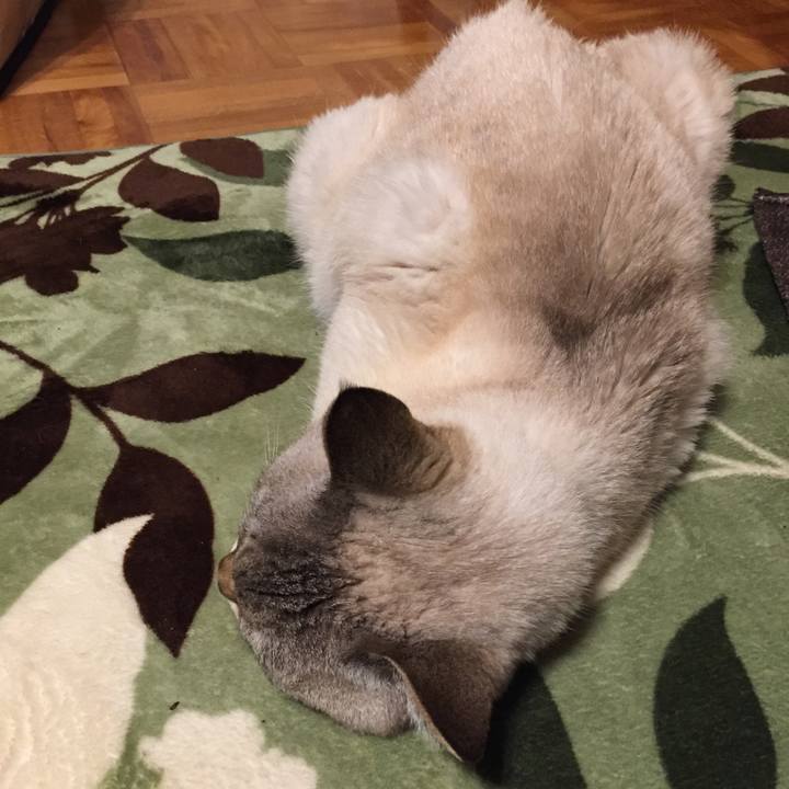 7c28aced 2760 4e0c 8e3b 68971059231f 1587383941189