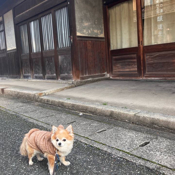 7c28cfb2 8945 442e bfc8 94ee503d394b 1767093794930