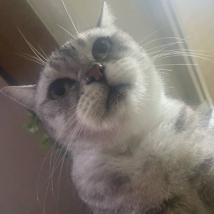 7c29084b 1381 42b5 8cf6 8ce05debace7 1763649003910