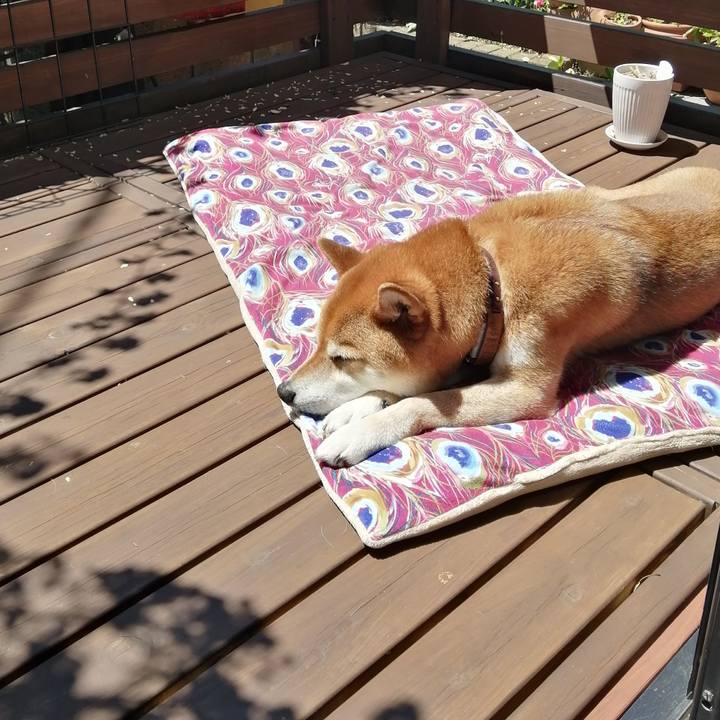 7c2918e1 ee10 42dd 8604 7e65d73479b6 1651544021452