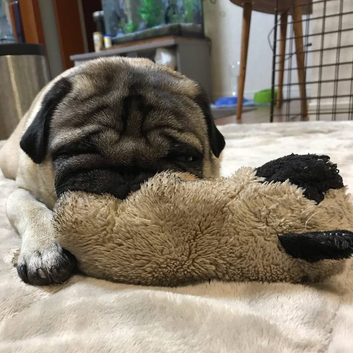 7c291f9d ef7b 4a1a b228 de5eb55d2c22 1555330895740