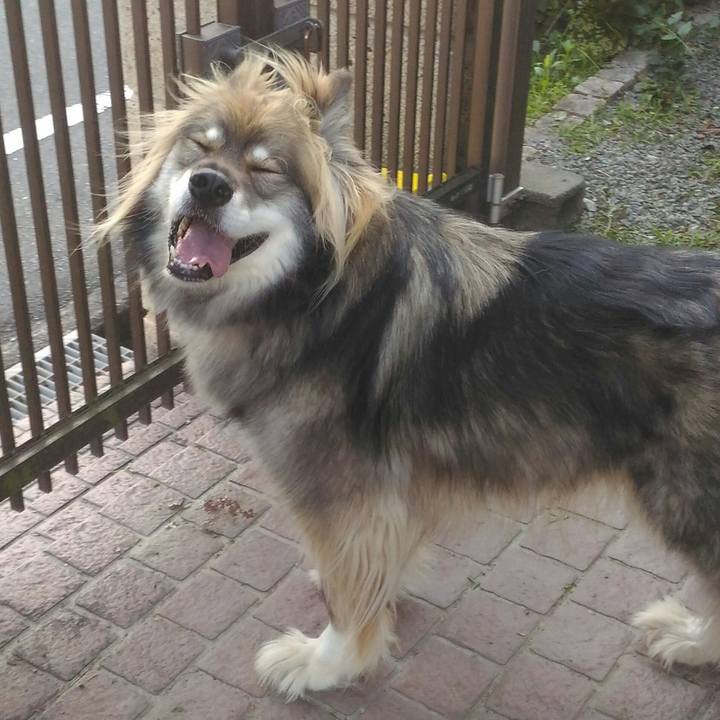 7c29286b 7f31 40f7 9cbe bb093c63dbae 1529141169239