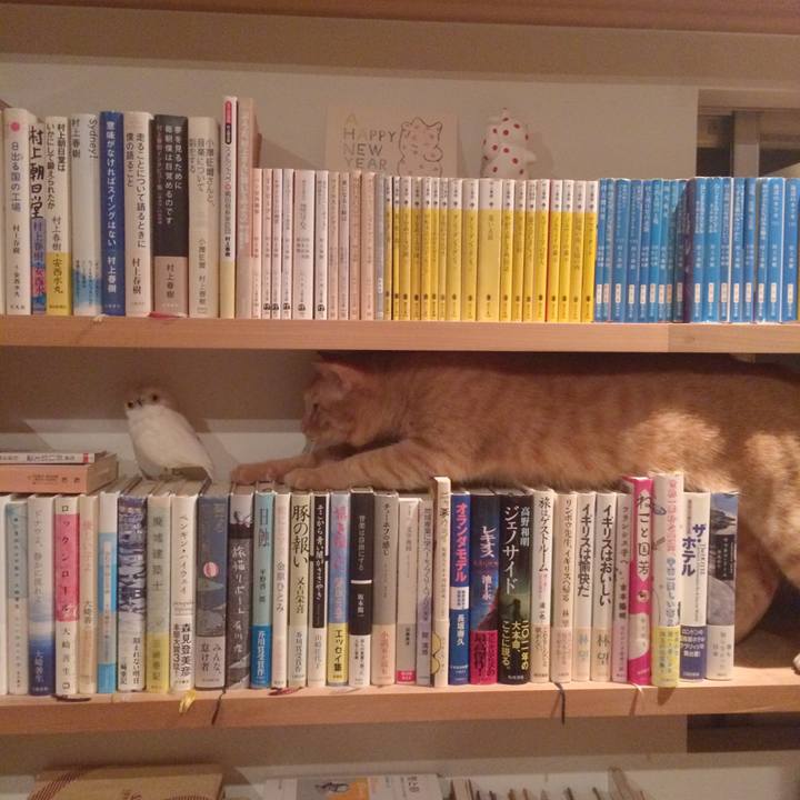 7c293515 58d5 4998 8854 b37e5d4980e3 1539091291454