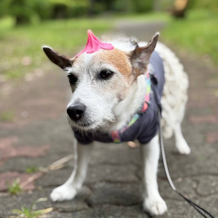 7c29d5aa 8d9b 4cfc 91fa ddaa9dd19b28 1748214642127