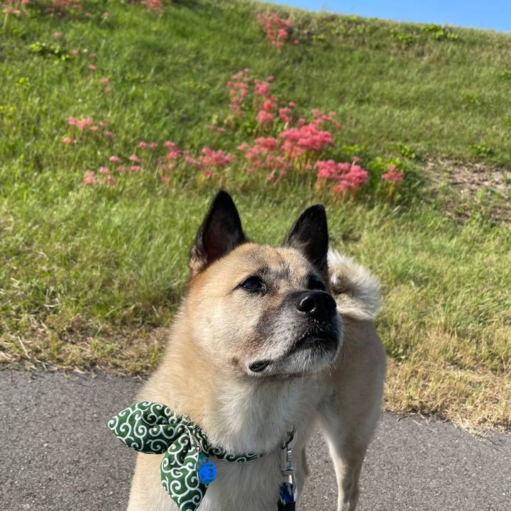 7c2a27e0 2628 4dba 89e1 5f6ca45fac19 1664620224134