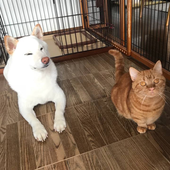 7c2a29bd 05b8 46e8 9c4e af90041b3bbf 1530944245483